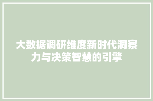 大数据调研维度新时代洞察力与决策智慧的引擎