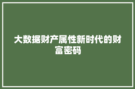 大数据财产属性新时代的财富密码