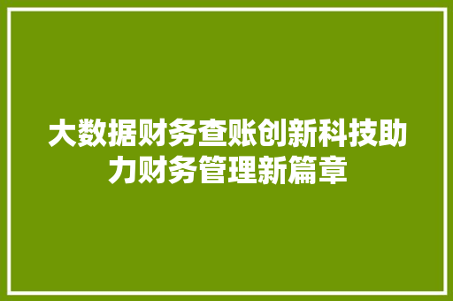 大数据财务查账创新科技助力财务管理新篇章