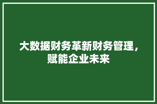 大数据财务革新财务管理，赋能企业未来  第1张