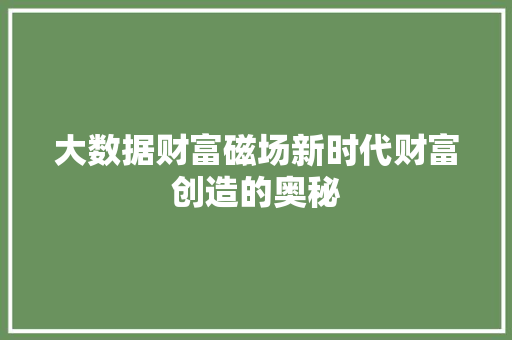 大数据财富磁场新时代财富创造的奥秘