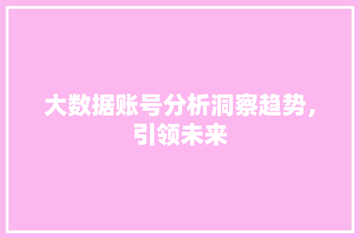 大数据账号分析洞察趋势，引领未来  第1张
