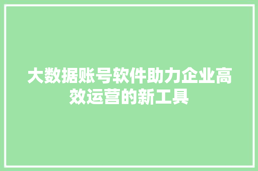 大数据账号软件助力企业高效运营的新工具  第1张