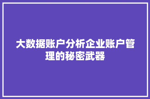 大数据账户分析企业账户管理的秘密武器  第1张