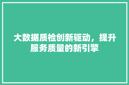 大数据质检创新驱动，提升服务质量的新引擎