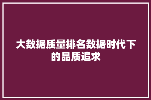 大数据质量排名数据时代下的品质追求  第1张