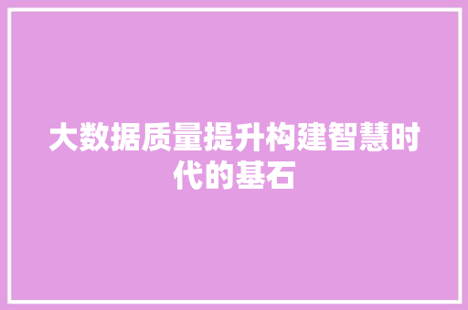 大数据质量提升构建智慧时代的基石  第1张
