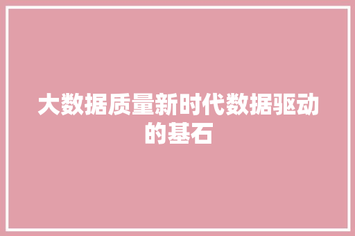 大数据质量新时代数据驱动的基石  第1张