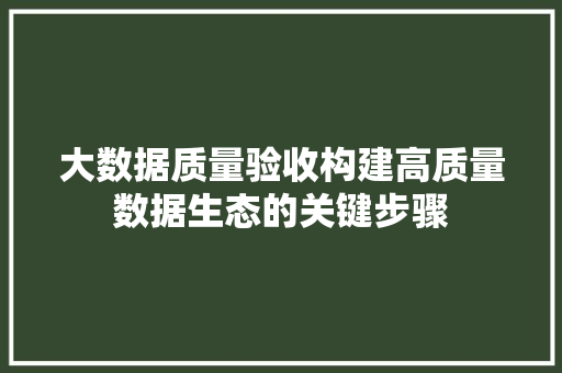 大数据质量验收构建高质量数据生态的关键步骤
