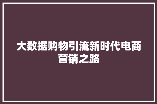 大数据购物引流新时代电商营销之路  第1张