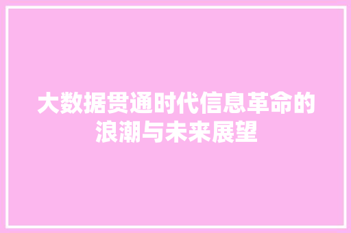大数据贯通时代信息革命的浪潮与未来展望