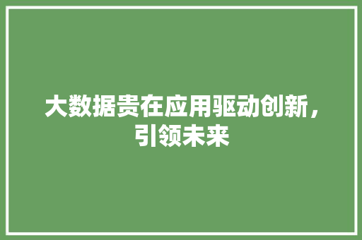 大数据贵在应用驱动创新，引领未来  第1张