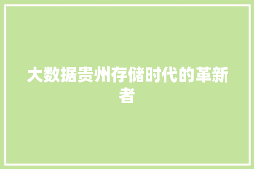 大数据贵州存储时代的革新者  第1张