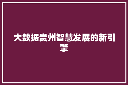 大数据贵州智慧发展的新引擎  第1张