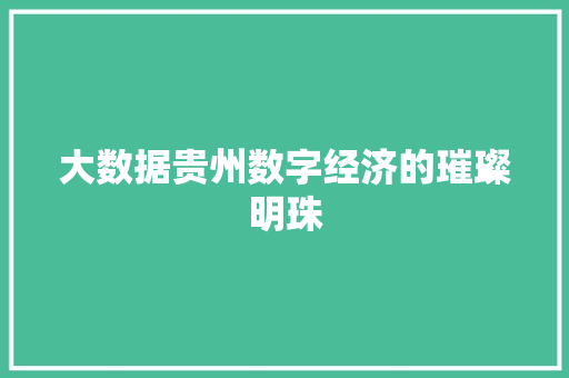 大数据贵州数字经济的璀璨明珠  第1张