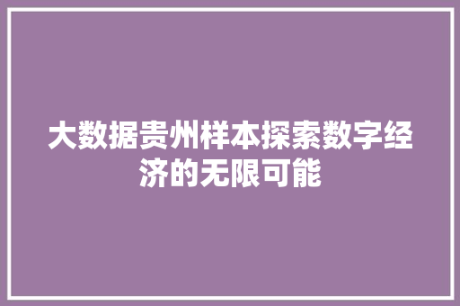 大数据贵州样本探索数字经济的无限可能