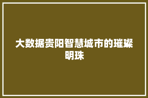 大数据贵阳智慧城市的璀璨明珠  第1张