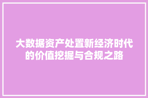 大数据资产处置新经济时代的价值挖掘与合规之路