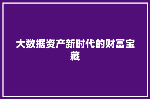 大数据资产新时代的财富宝藏  第1张
