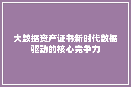 大数据资产证书新时代数据驱动的核心竞争力  第1张