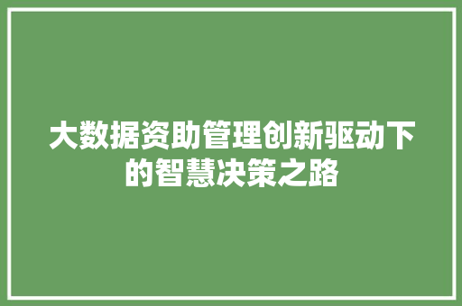 大数据资助管理创新驱动下的智慧决策之路