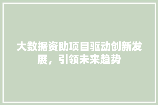 大数据资助项目驱动创新发展，引领未来趋势