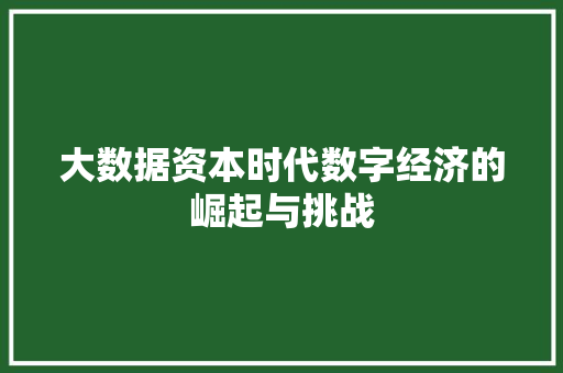 大数据资本时代数字经济的崛起与挑战
