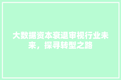 大数据资本衰退审视行业未来，探寻转型之路  第1张