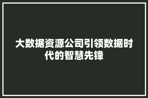 大数据资源公司引领数据时代的智慧先锋  第1张