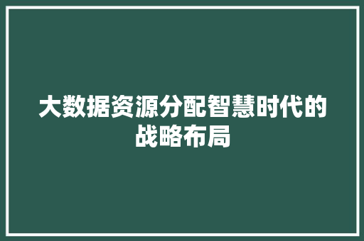 大数据资源分配智慧时代的战略布局