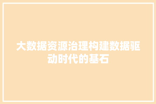 大数据资源治理构建数据驱动时代的基石  第1张