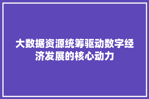 大数据资源统筹驱动数字经济发展的核心动力