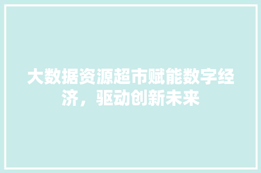 大数据资源超市赋能数字经济，驱动创新未来  第1张