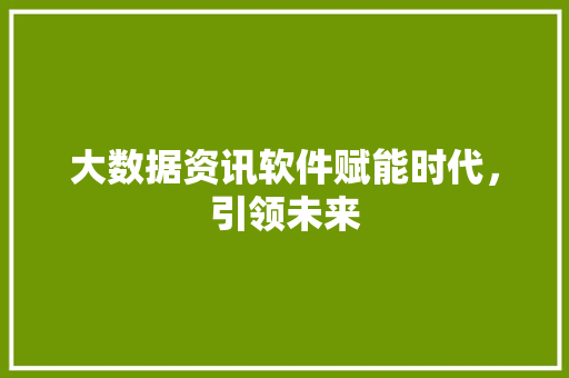 大数据资讯软件赋能时代，引领未来