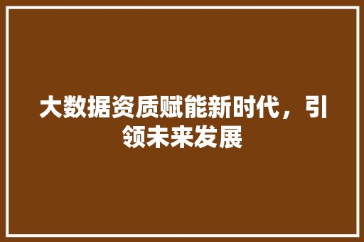 大数据资质赋能新时代，引领未来发展
