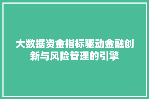 大数据资金指标驱动金融创新与风险管理的引擎