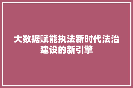 大数据赋能执法新时代法治建设的新引擎  第1张