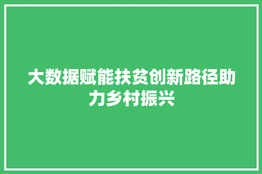 大数据赋能扶贫创新路径助力乡村振兴  第1张