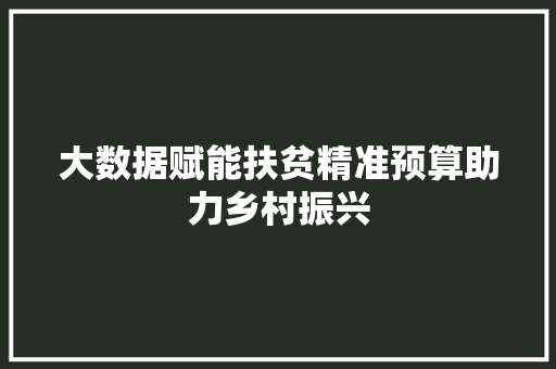 大数据赋能扶贫精准预算助力乡村振兴