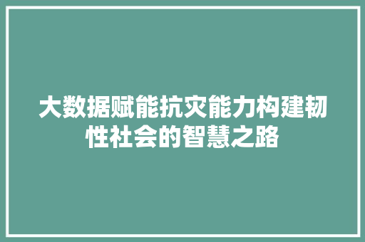 大数据赋能抗灾能力构建韧性社会的智慧之路  第1张