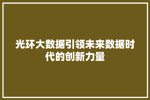 光环大数据引领未来数据时代的创新力量