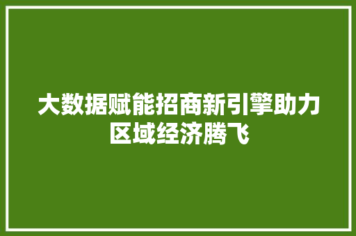 大数据赋能招商新引擎助力区域经济腾飞  第1张
