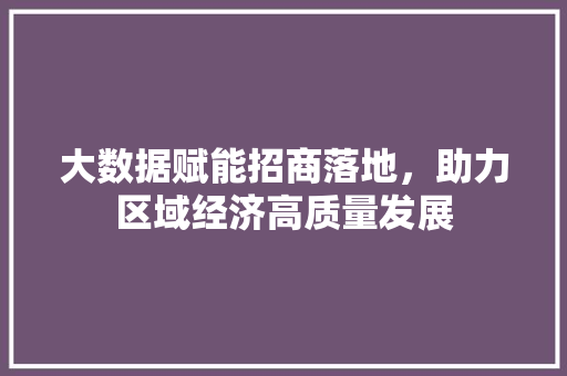 大数据赋能招商落地，助力区域经济高质量发展  第1张