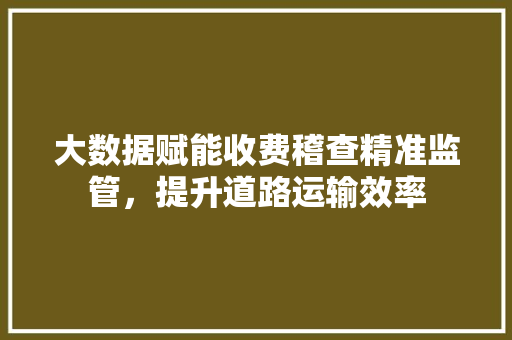 大数据赋能收费稽查精准监管，提升道路运输效率  第1张