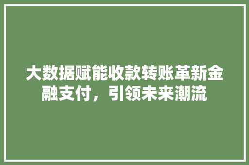 大数据赋能收款转账革新金融支付，引领未来潮流