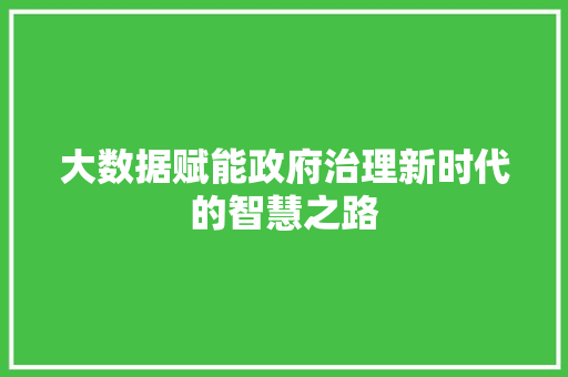 大数据赋能政府治理新时代的智慧之路  第1张