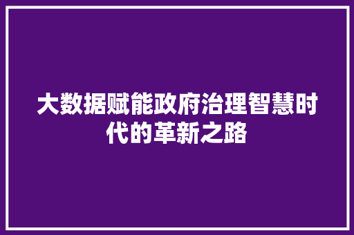 大数据赋能政府治理智慧时代的革新之路  第1张