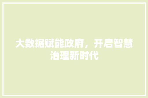 大数据赋能政府，开启智慧治理新时代  第1张