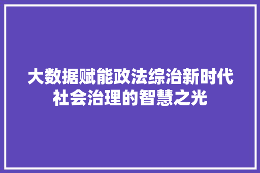 大数据赋能政法综治新时代社会治理的智慧之光
