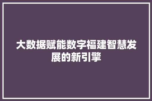 大数据赋能数字福建智慧发展的新引擎